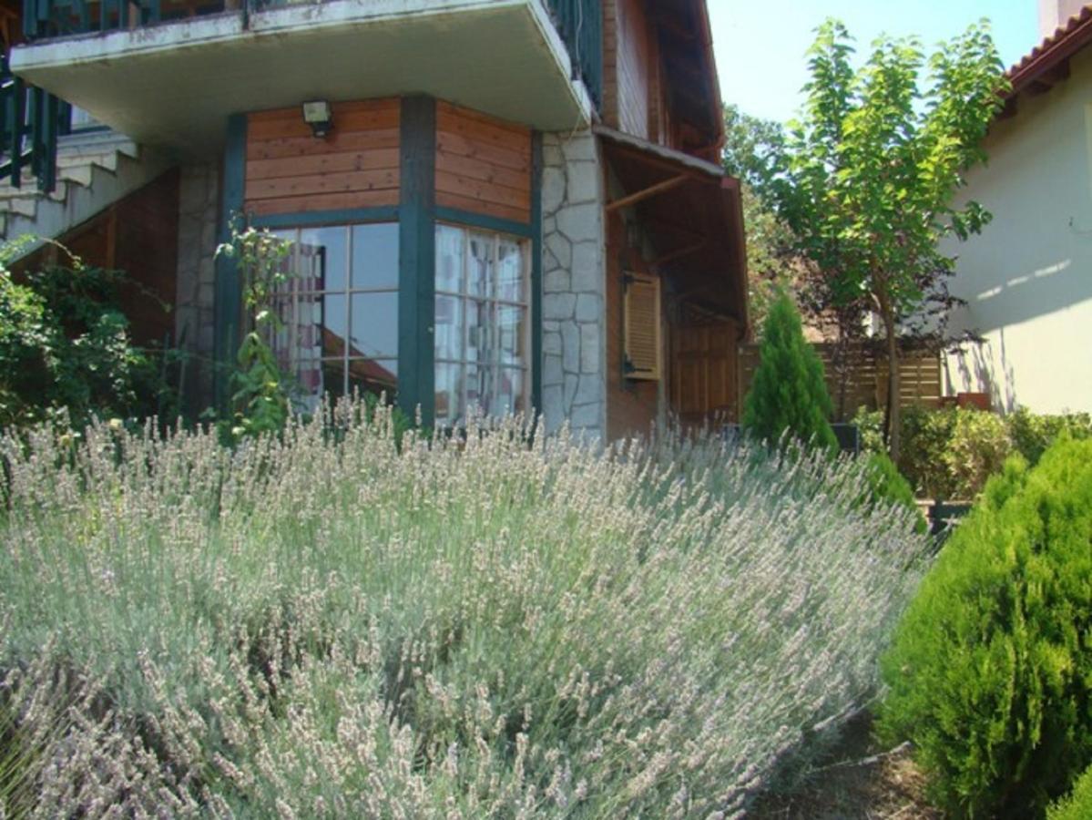 Zeus-Village Οικισμός Φινλανδικών Chalet Με Πισίνες & Γυμναστήριο Molos  部屋 写真
